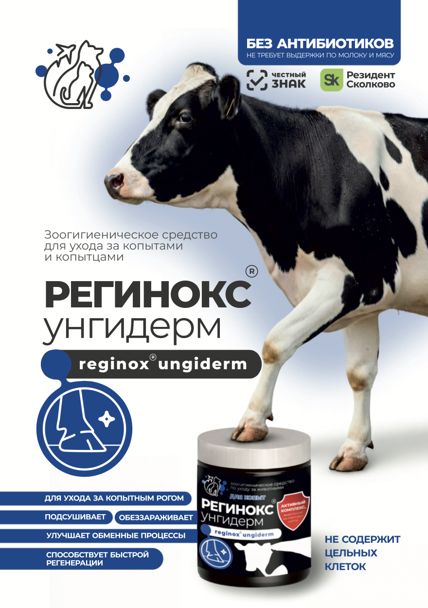 Регинокс Унгидерм — изображение 2