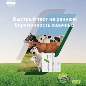 Экспресс-тест для ранней диагностики беременности у жвачных животных