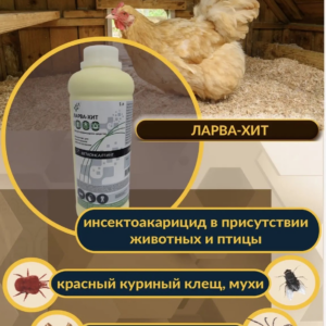 Ларва-хит