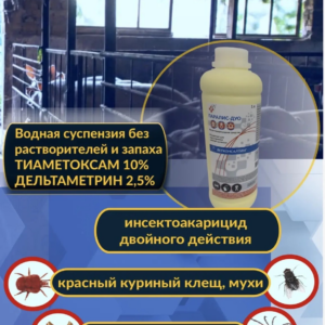 Паралис-дуо